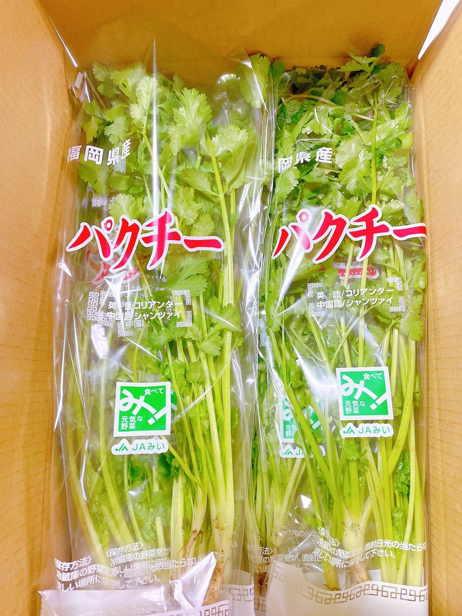 パクチー300g - 野菜