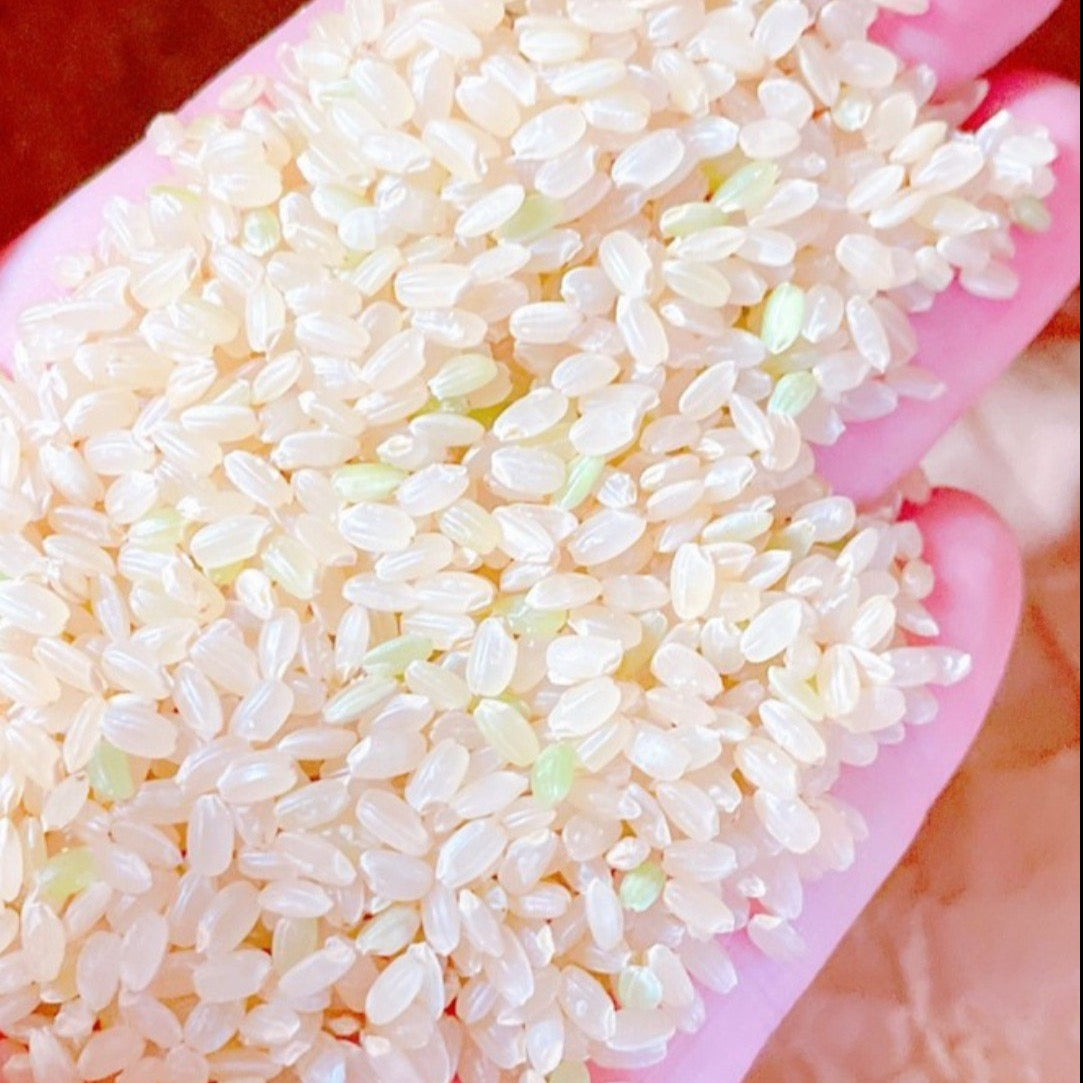 無農薬 玄米【5kg】 – Egami farm 無農薬 玄米【5kg】 – Egami farm