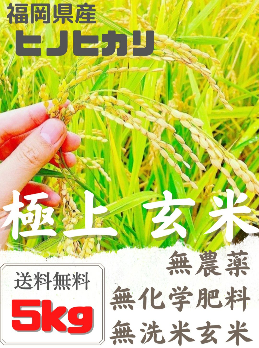 無農薬 玄米【5kg】 – Egami farm 無農薬 玄米【5kg】 – Egami farm