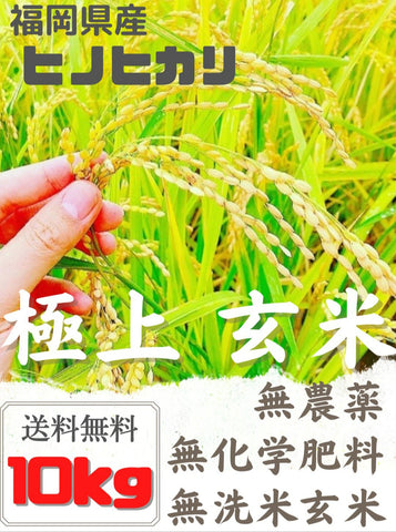無農薬 玄米【10kg】