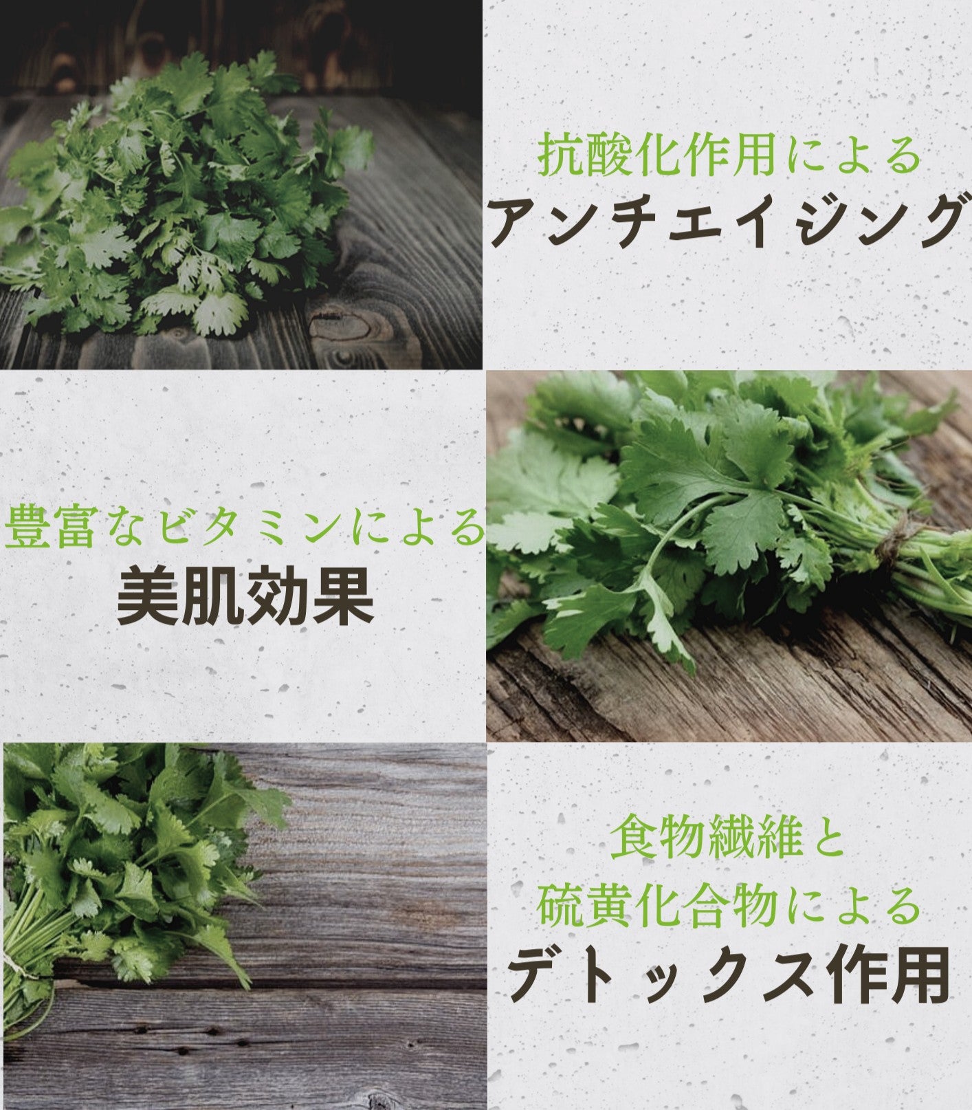 パクチー【100g】 – Egami farm